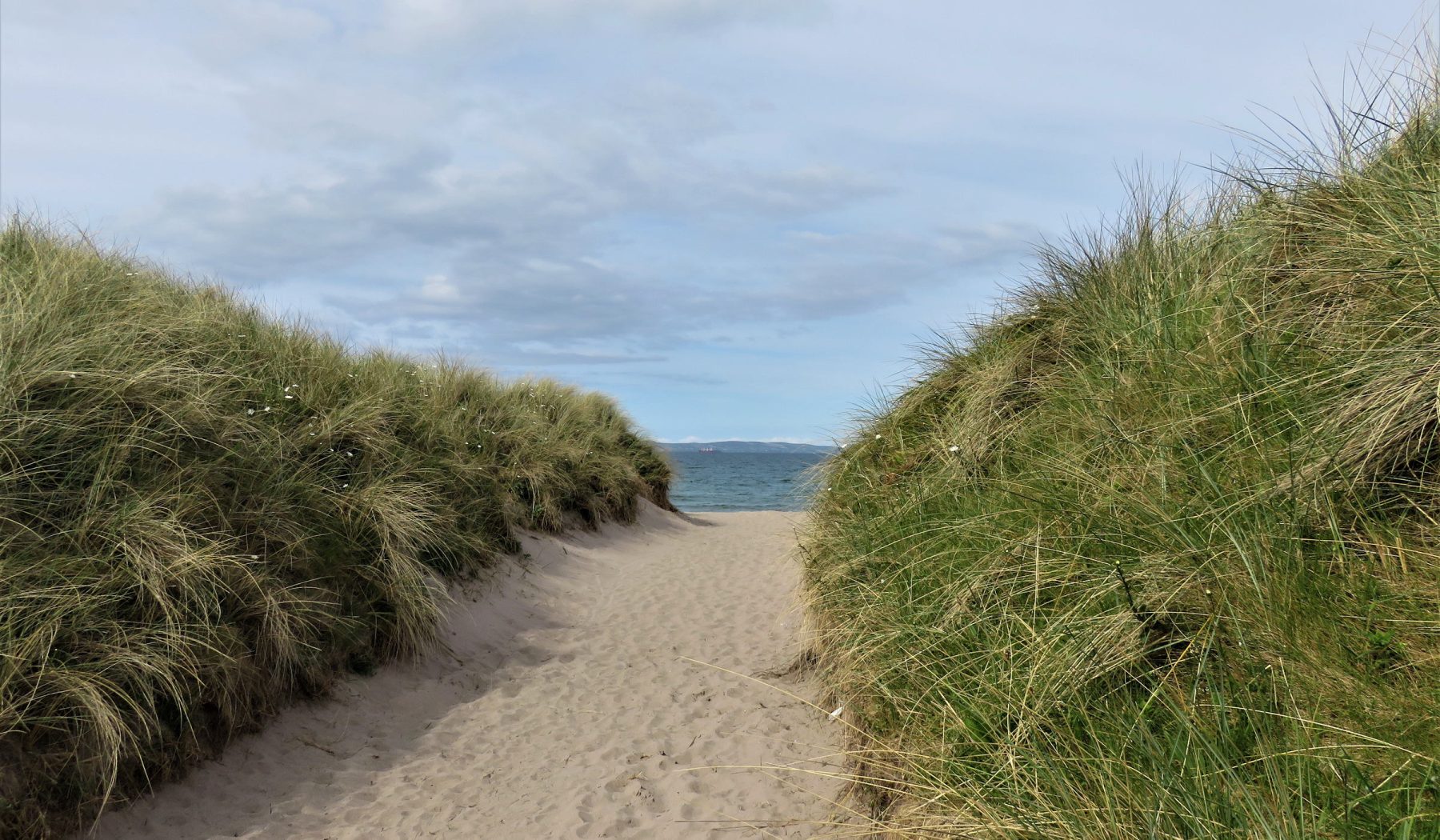 Kirk Brae
