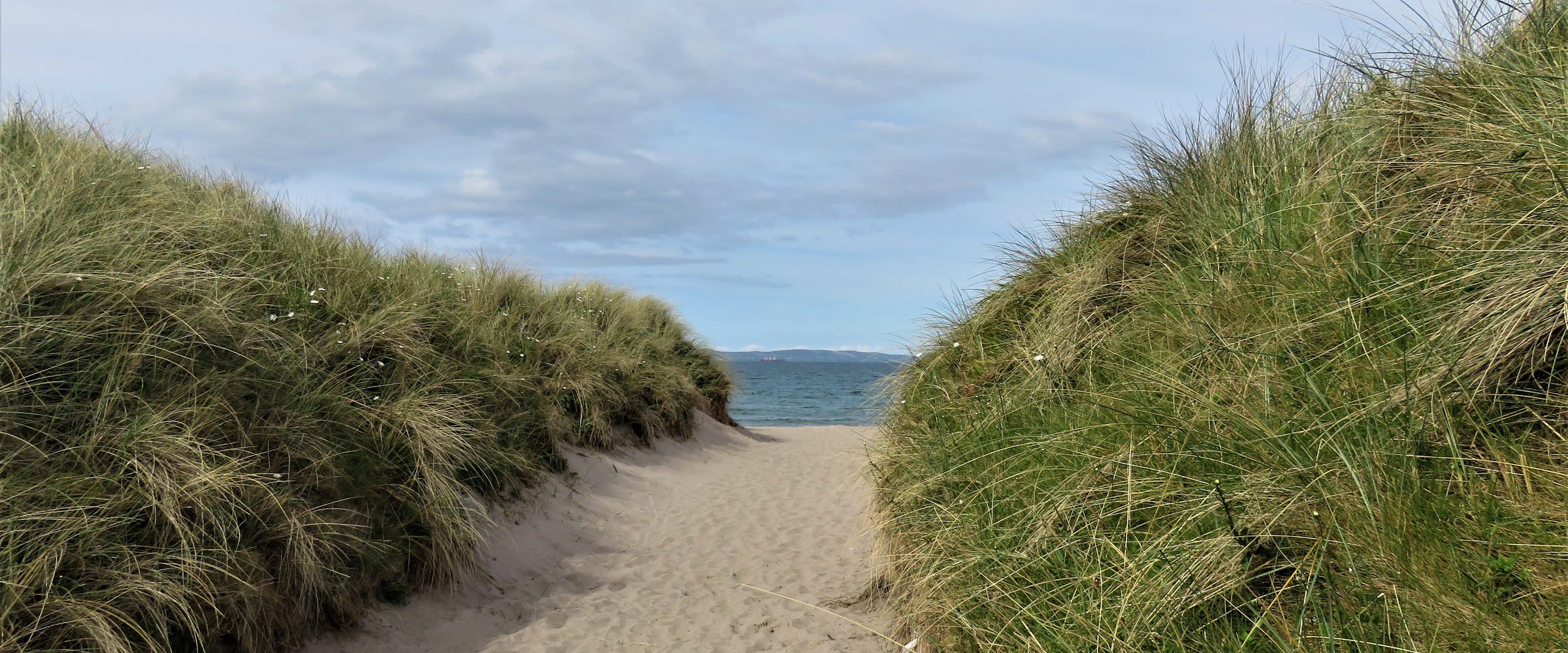 Kirk Brae